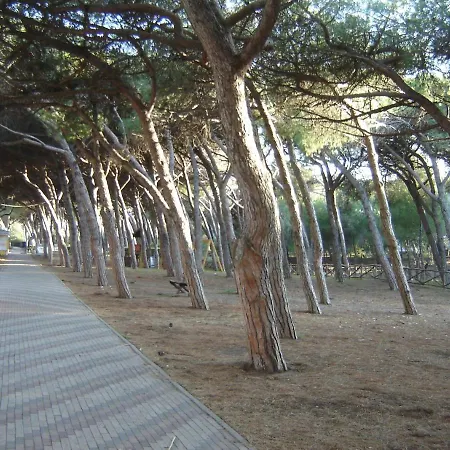 La Casa Dal Viale Al Mare Apartment Cecina (Livorno)